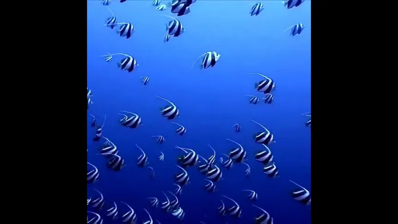 This scene is divine