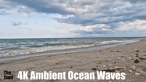 4K Ambient Sounds - Ocean Waves | Florida | View S Atlantic Ave Hangar's Beach | 20230618