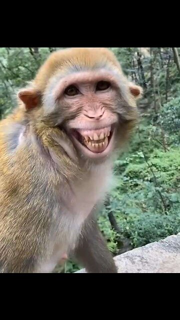 The girl messed with the animal and it cost her dearly