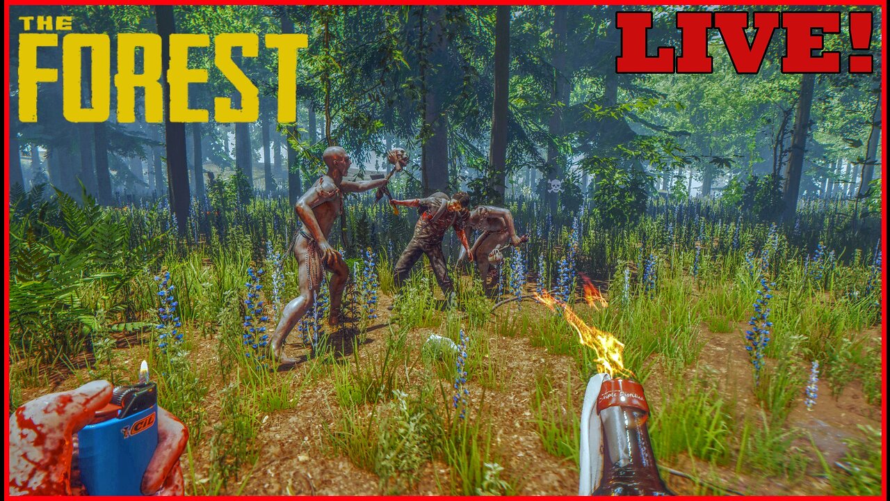 The Forest (First time playing)