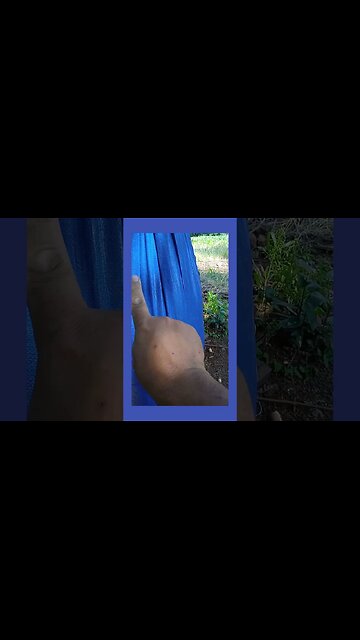 Como Dar Um Soco Sem Machuca as Mãos! Qual o Melhor Método Para Dar Um Soco?