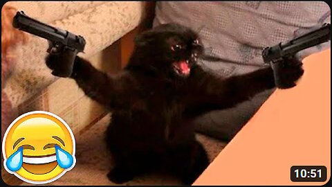 New Funny Animals 😂 Funniest Cats and Dogs Videos 😺🐶