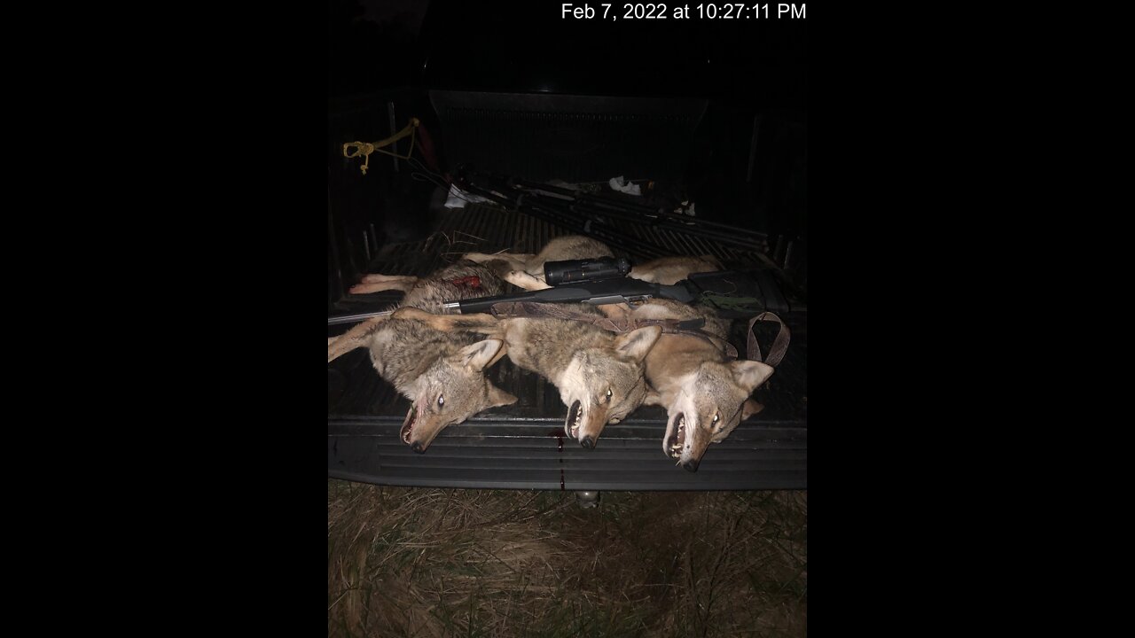 1/3 down makes 3