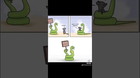 Hug? :3 #clip #shorts #stream #game #birb #bird #baka #fun #crazy #hug #snake #mouse #meme #memes