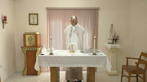 July 23 - Mass of the Blessed Virgin Mary