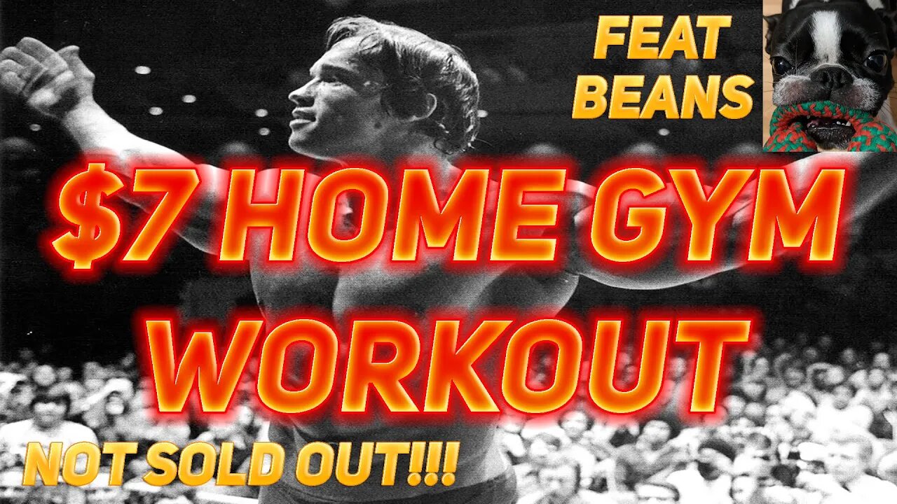 $7 Home Gym and Workout Routine!!! Keep those Gains!!!