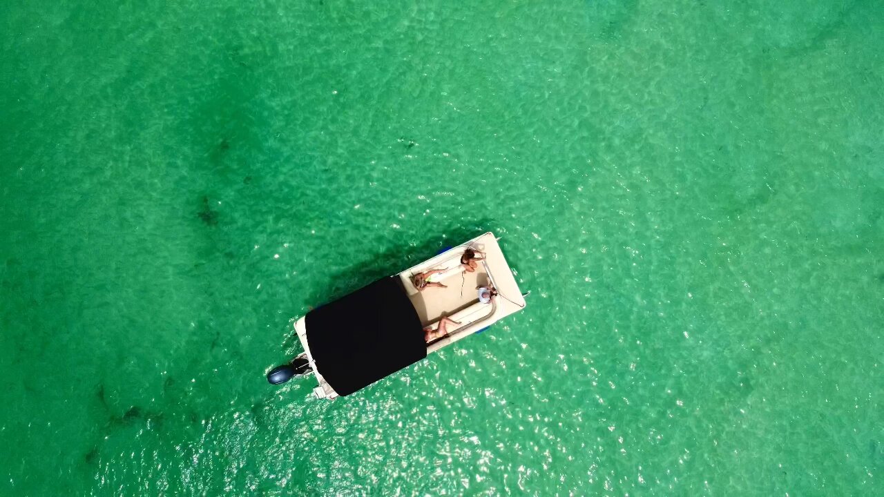 Dolphins chilling in the current Naples, Fl