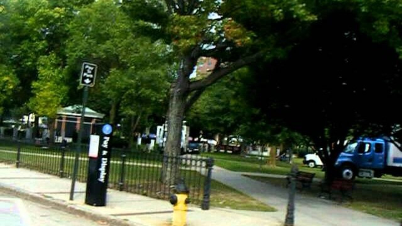 License plate collection. at the Manchester Tea Party Express event