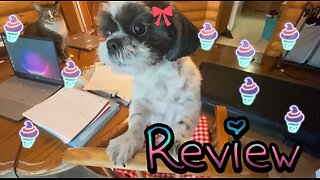 Dogs Review Whole Hearted Clover Shaped Dog Treats