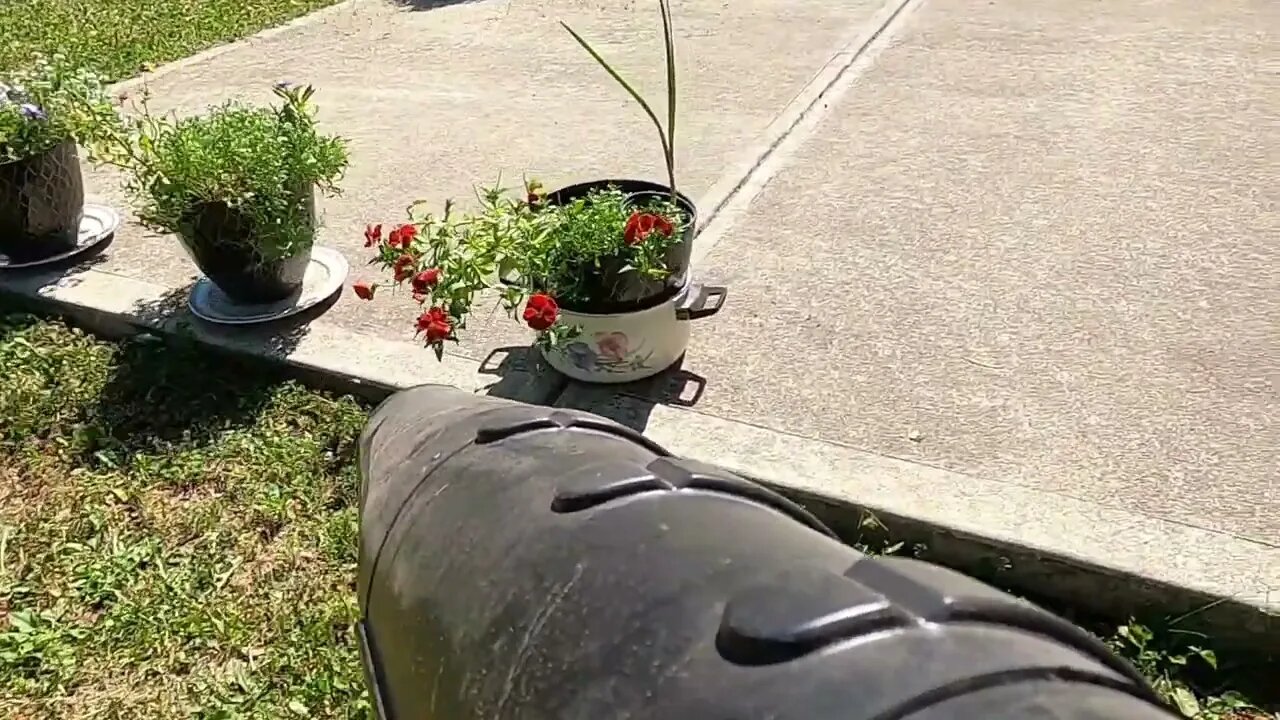 GoPro on STIHL Blower. What I do when bored.