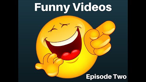 Funny Videos