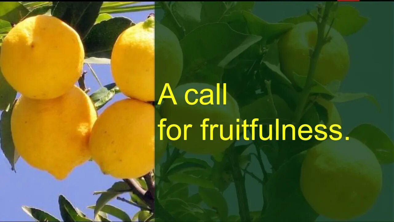 Igboya Church of Christ Live Stream: A CAll To Fruitfulness