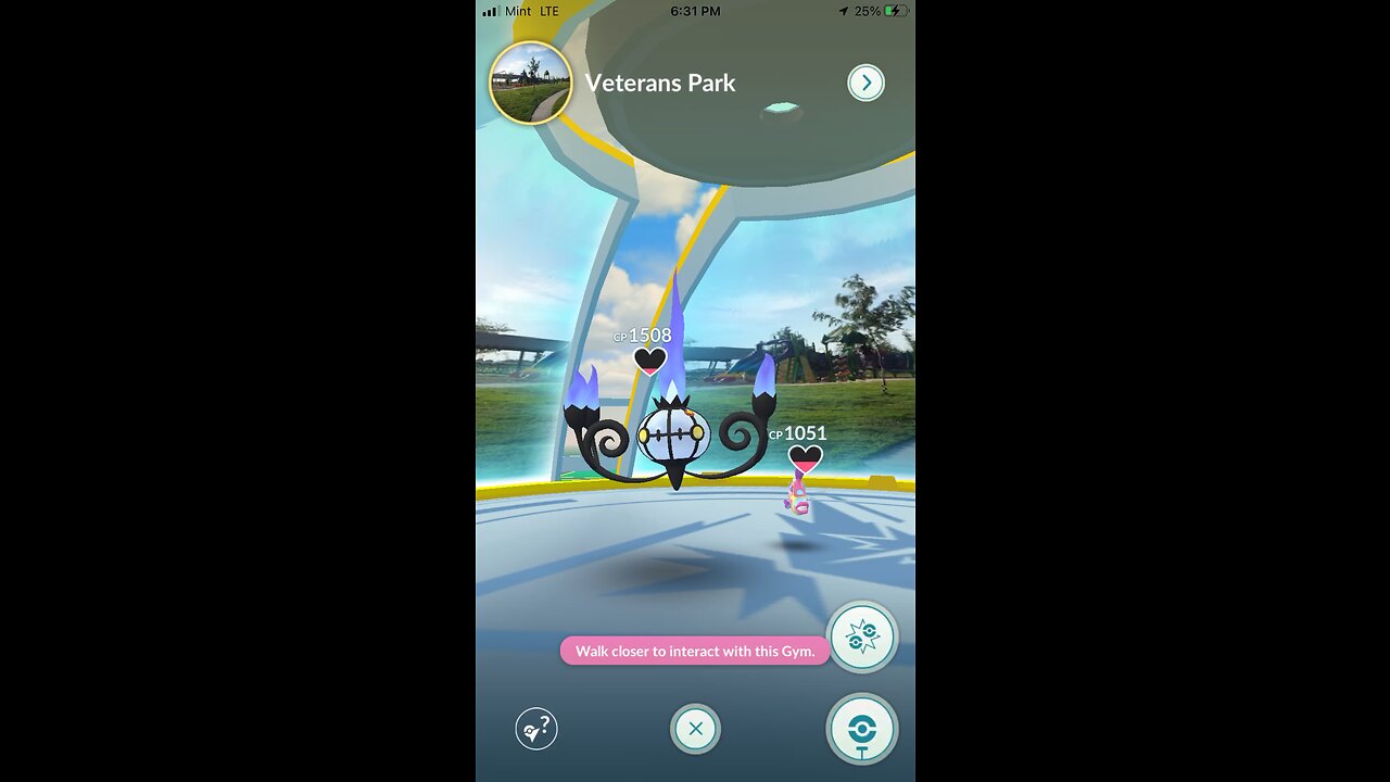 Playing Pokémon Go #pokemongo #pokemon #pokemontcg #pokemoncommunity #pokemonunite #fypage