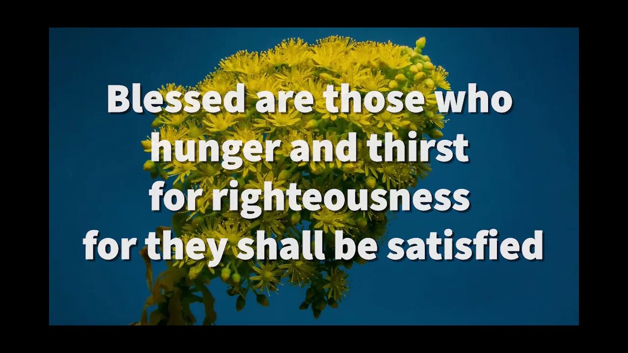 The Beatitudes - Matthew 5:3-10 [Lyric Video] - The Bible Song