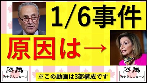 6.11② 冷やし中華