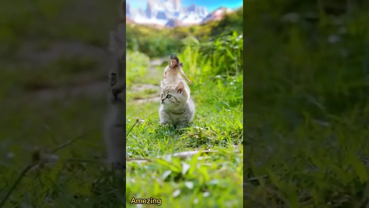 Amezing video