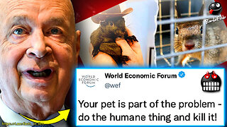 WEF Orders Slaughter of Pets Owned by Citizens With Low Social Credit Scores