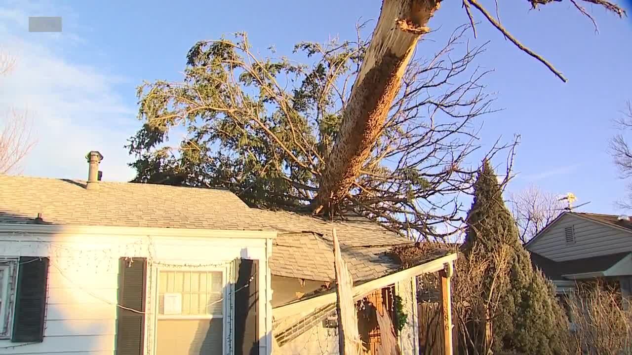 'My house is condemned': High winds cause tree to fall on Englewood home