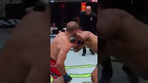 Andre Fialho Fight UFC #Short #mma