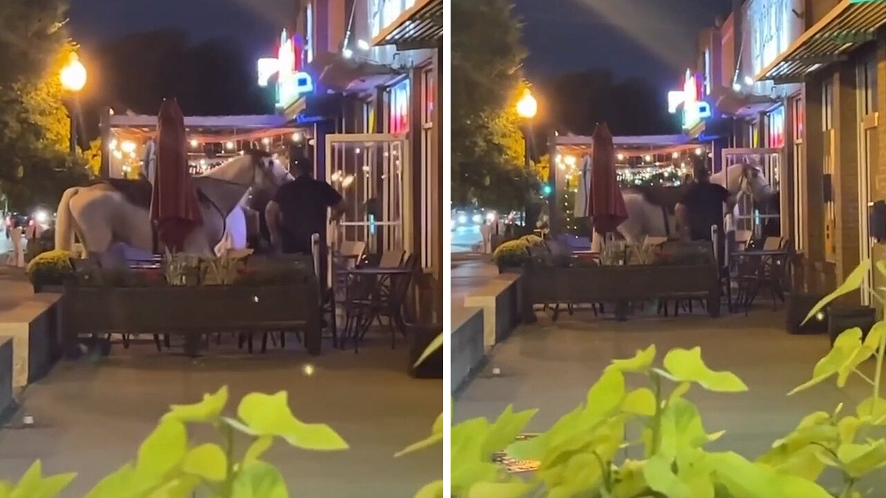 Horse walks into a bar in Dallas