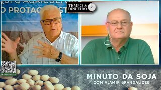 Milho com boas oportunidades nos portos