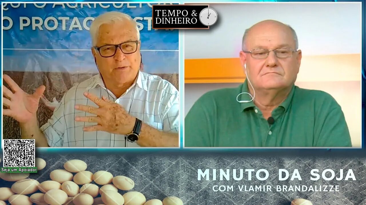 Milho com boas oportunidades nos portos