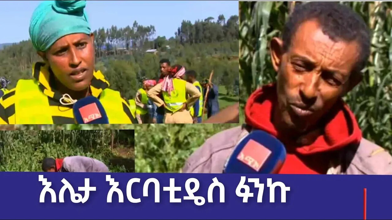 እሌታ እርባቲዴስ ፉንኩ፡ሜስኬሩም፡28/2016 ም.አ(አሚኮ)