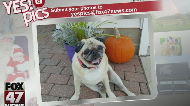 Yes! Pics: 11/21/16