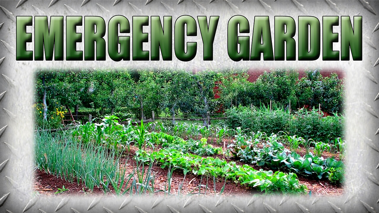 What if You Need to Start a Garden Tomorrow With Zero Warning?