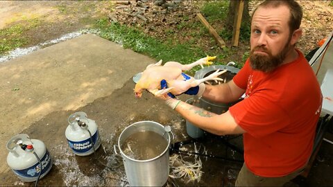 We raised 100 POUNDS of meat on our HOMESTEAD!!! - Sending the MEAT BIRDS to FREEZER CAMP -