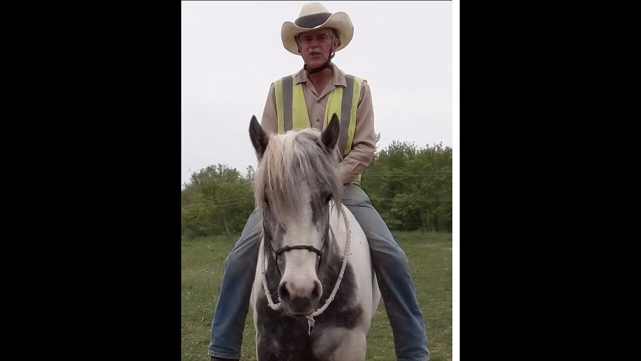 Start Right!! - Safely mounting a totally green horse for the first time. Defusing the four anti-predator triggers associated with mounting a horse.