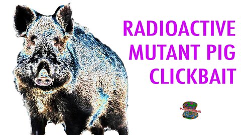 Misleading Headline Lies About Radioactive Pigs in Japan (live stream highlight)