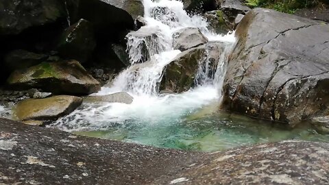 Mountain river and birds singing. Forest birds. Sounds of nature .