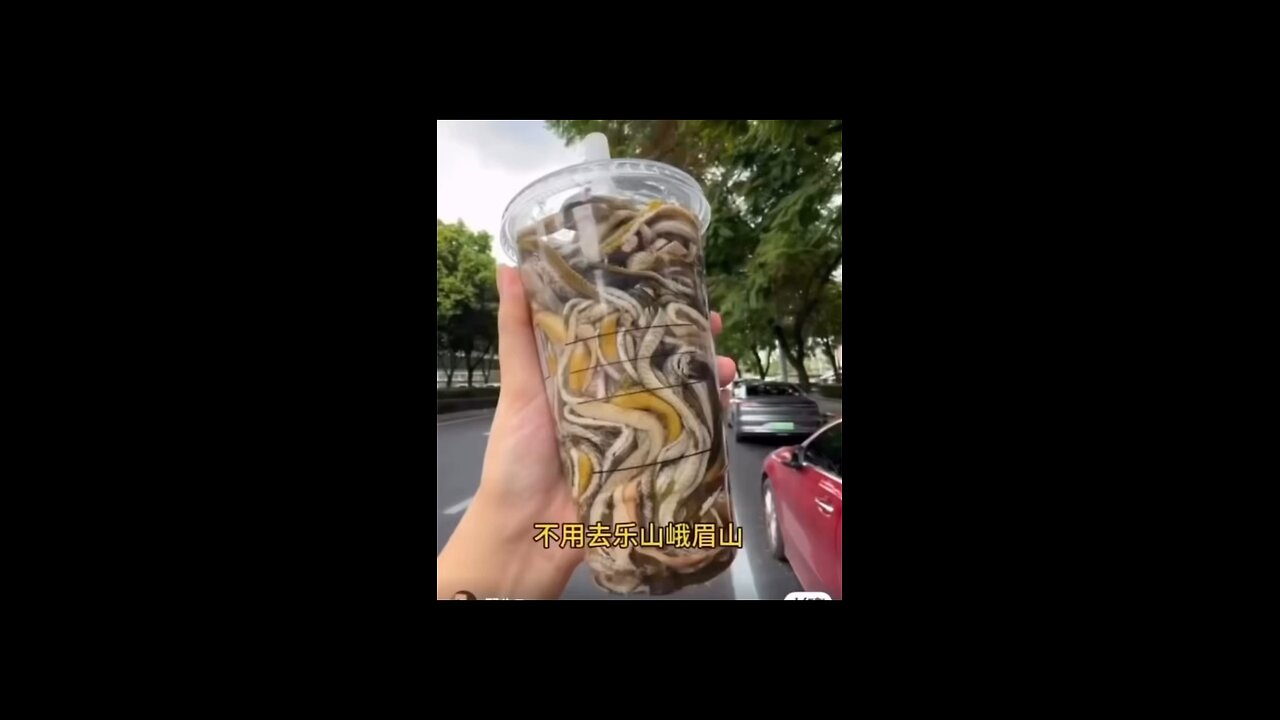 YAPDOLLAR COOKS EELS