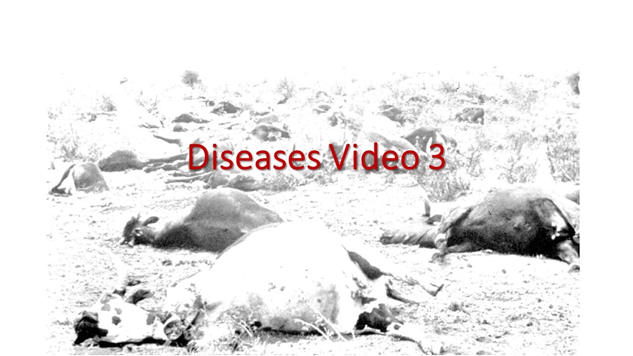 Livestock Diseases Video 3