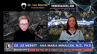 Dr. Lee Merritt & Dr. Ana Maria Mihalcea - Vaccine Nanotechnology