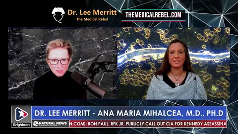 Dr. Lee Merritt & Dr. Ana Maria Mihalcea - Vaccine Nanotechnology