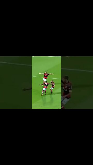 GOLAÇO DE RODINEI 😱😱😱