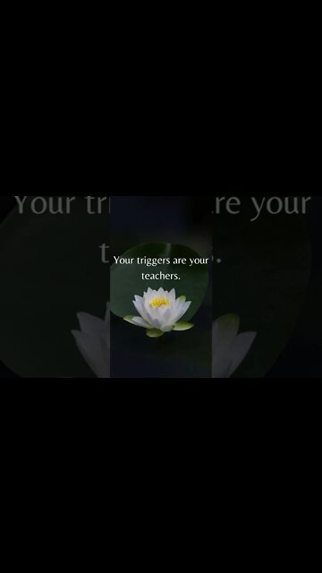 Triggers Are Teachers