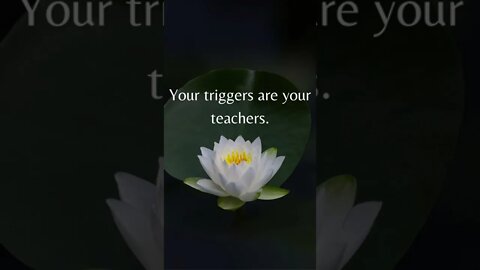 Triggers Are Teachers