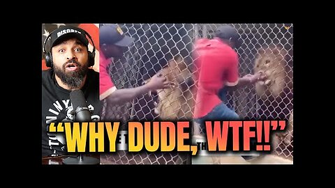 Black Guy Plays With LION and Loses His Whole Finger!