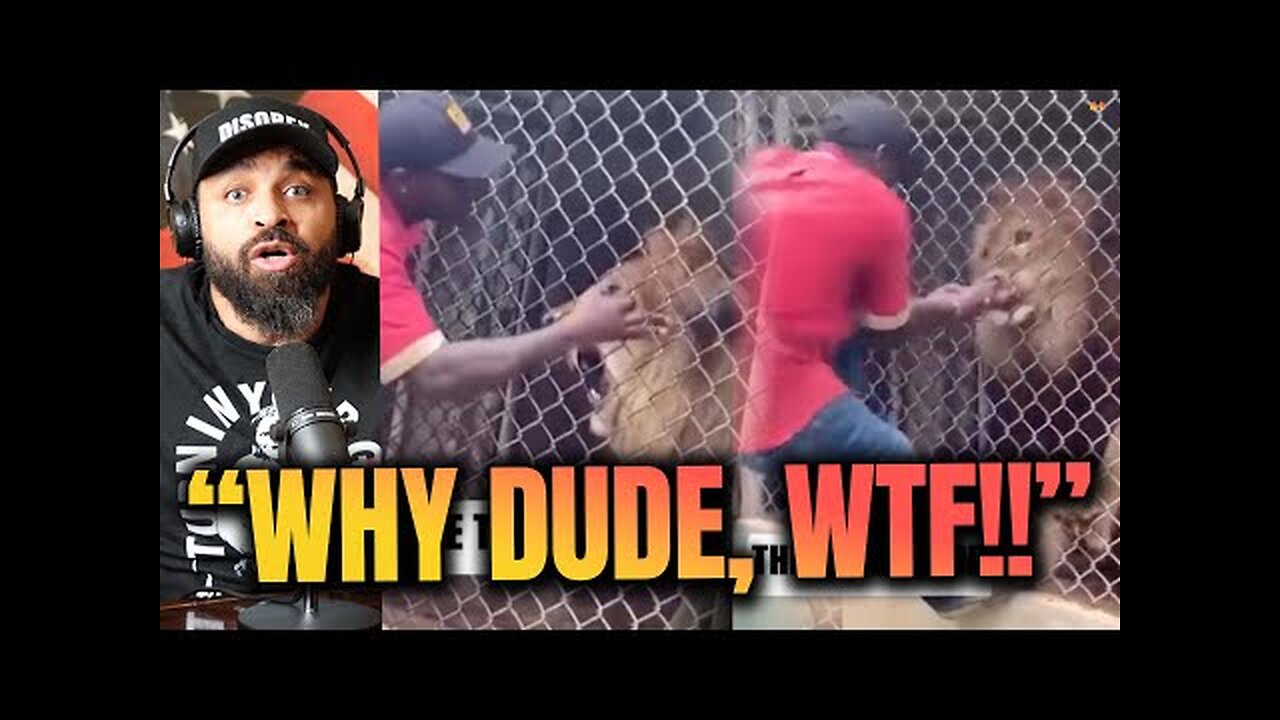 Black Guy Plays With LION and Loses His Whole Finger!