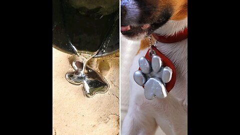 Electronic door with a chip for your pet 🐩