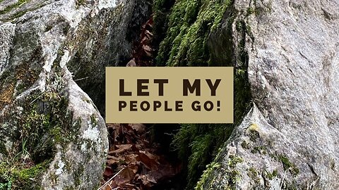 Let My People Go! - Word from the Lord