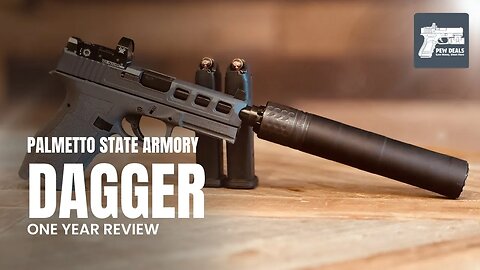 PSA Dagger - One Year Tabletop Review #psadagger #9mm #VortexOptics