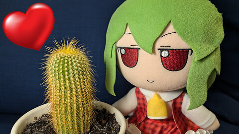 Yuuka finds a cactus!