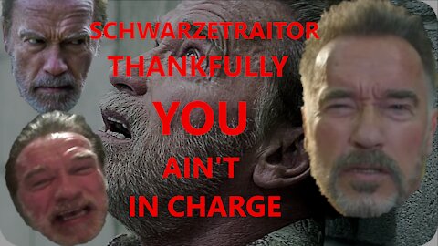 I'm Still Unsophisticated and Not My Freedom Arnold Schwarzenegger You're Not Even One to Talk