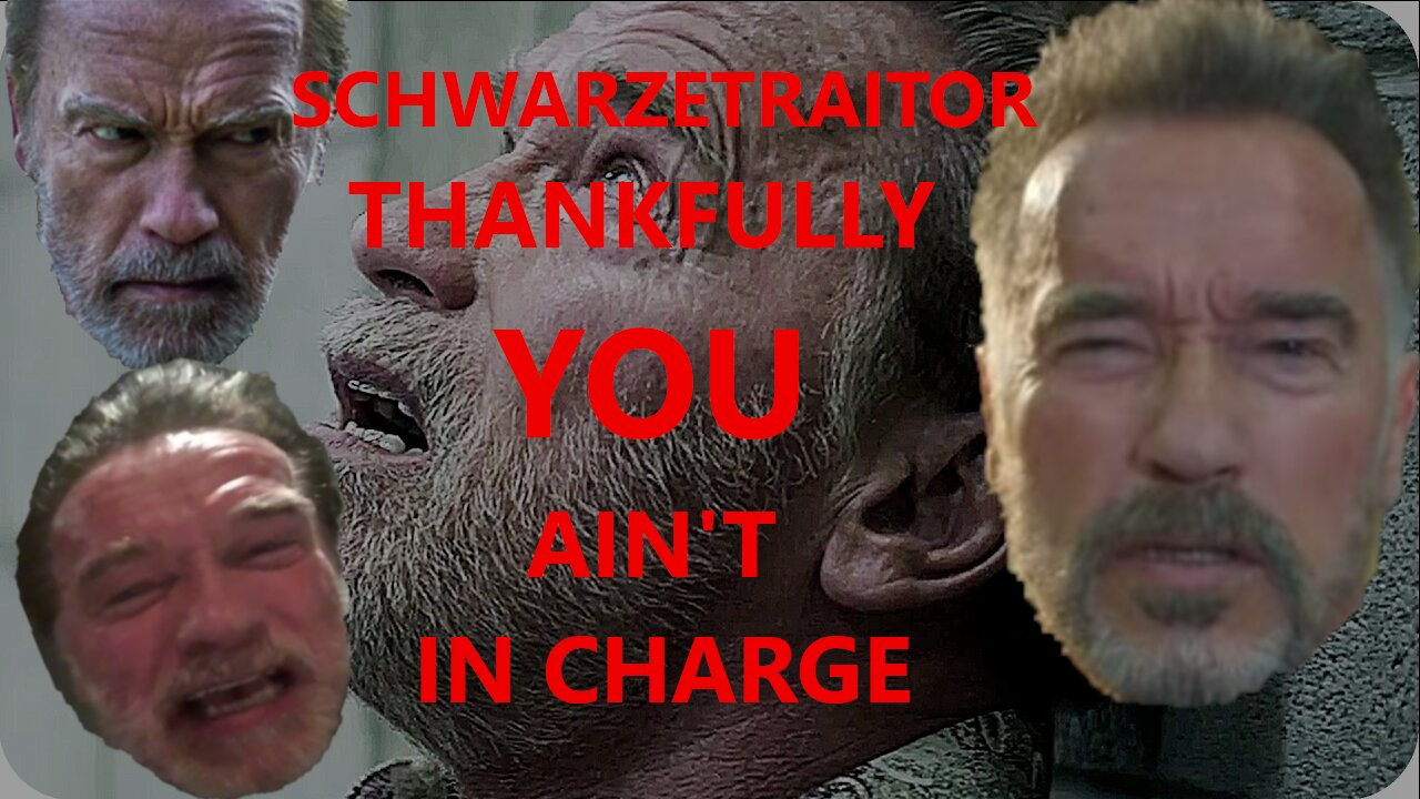I'm Still Unsophisticated and Not My Freedom Arnold Schwarzenegger You're Not Even One to Talk