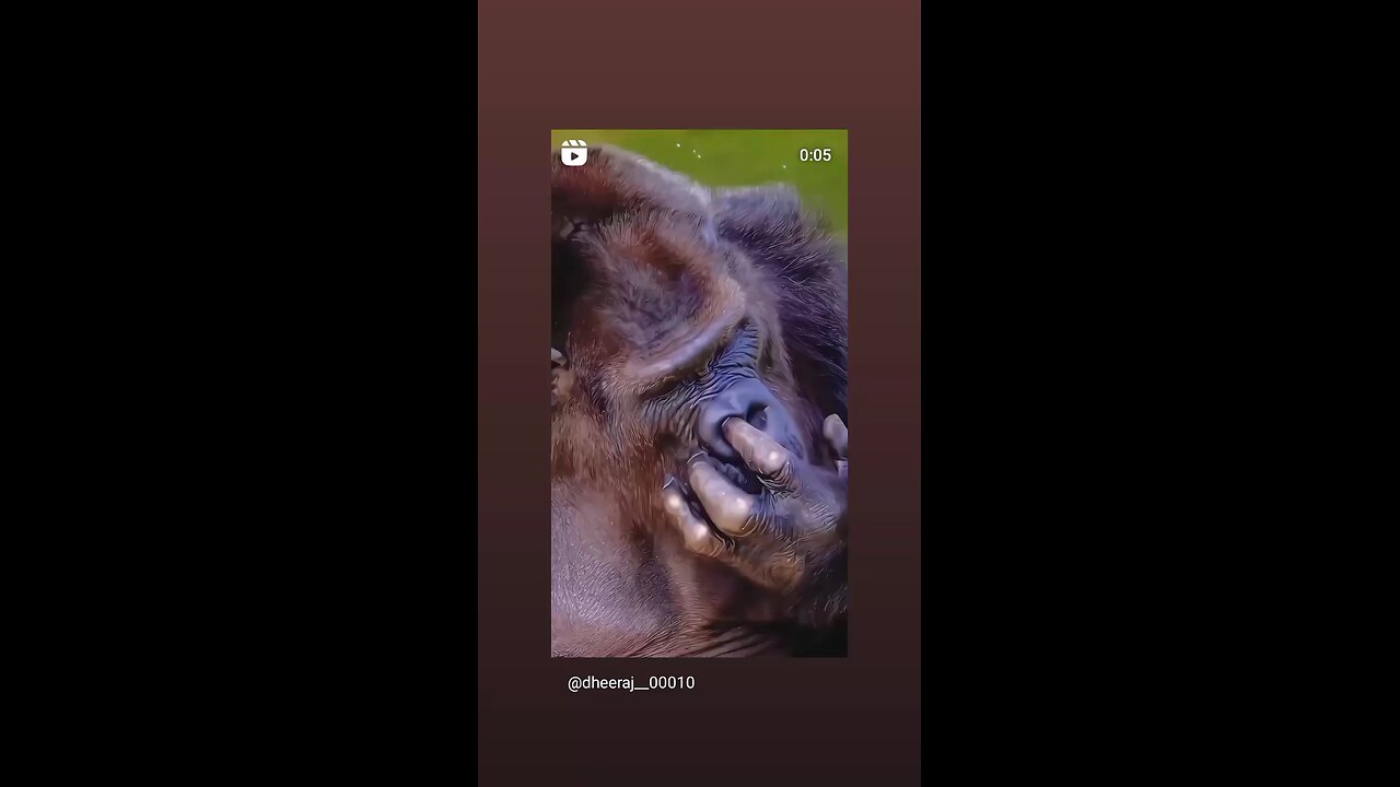 🤪🤣🤪🤪🤣😝