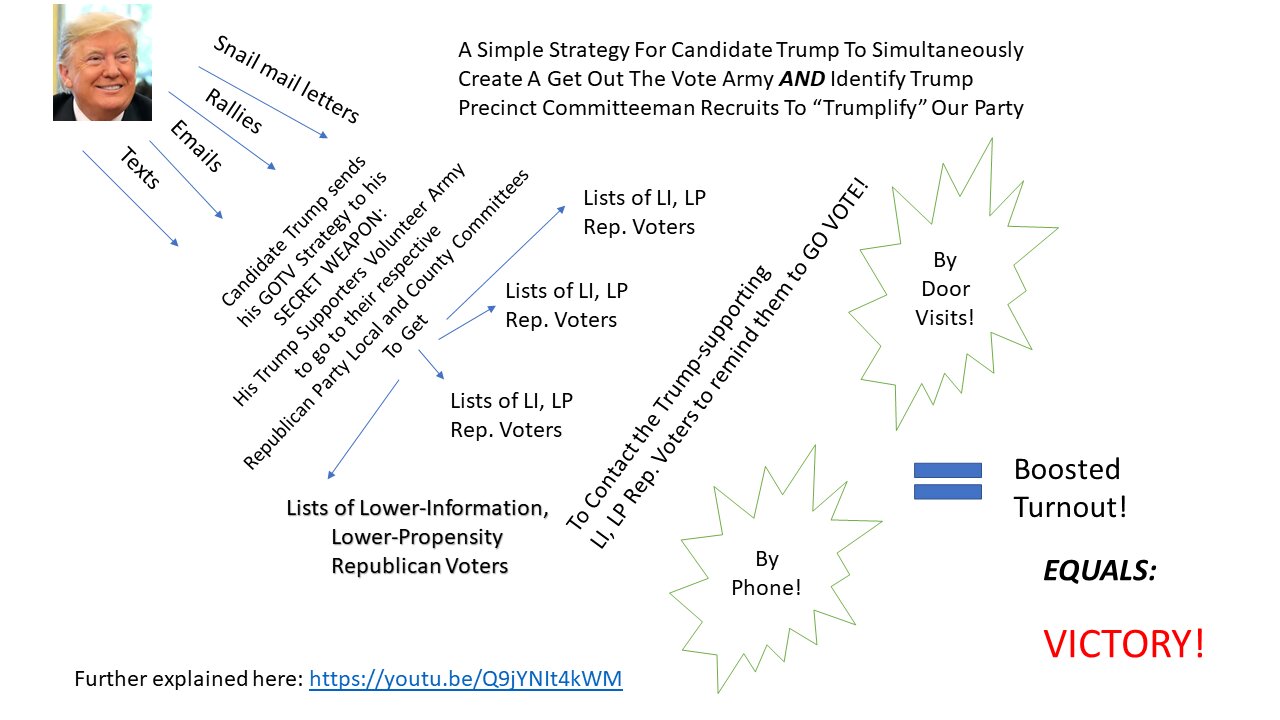 Precinct Strategy How Best To Help Pres. Trump. Dan Schultz May 18 2023